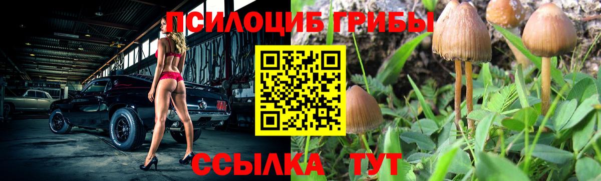 Псилоцибиновые грибы ЛСД Еманжелинск